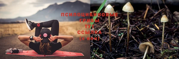 шишки Армянск
