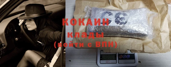 стаф Аркадак