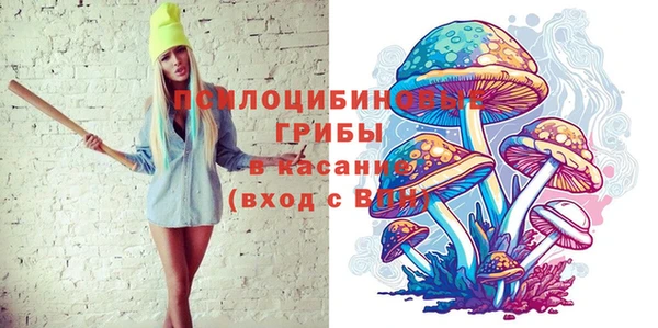 шишки Армянск