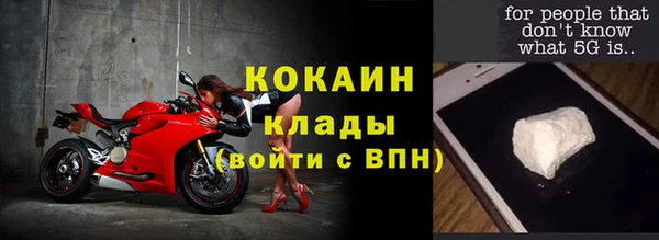 шишки Армянск