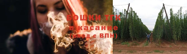 стаф Аркадак