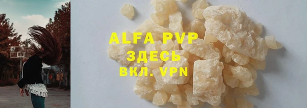 стаф Аркадак