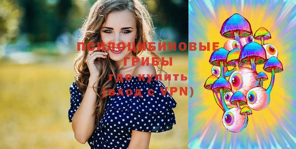 стаф Аркадак