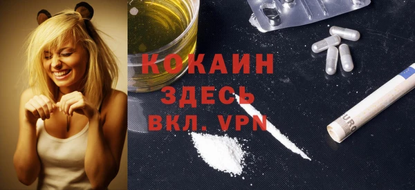 шишки Армянск