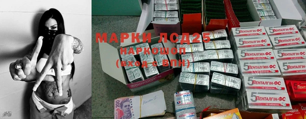стаф Аркадак