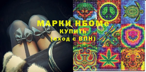 стаф Аркадак