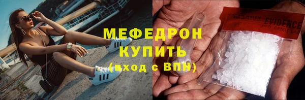 стаф Аркадак