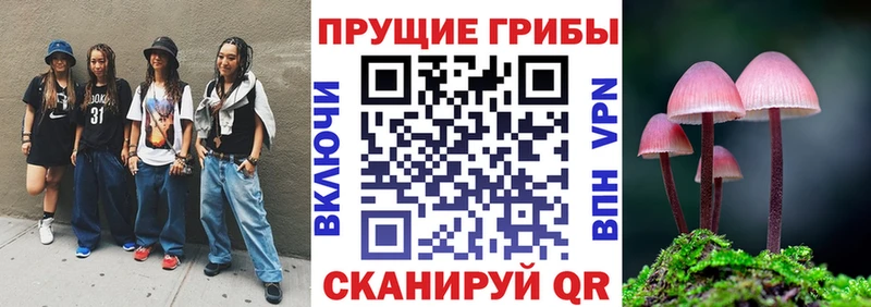 даркнет состав  Североморск  Галлюциногенные грибы MAGIC MUSHROOMS 