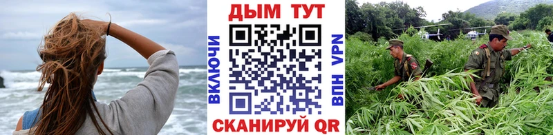 Бошки Шишки марихуана  Североморск 